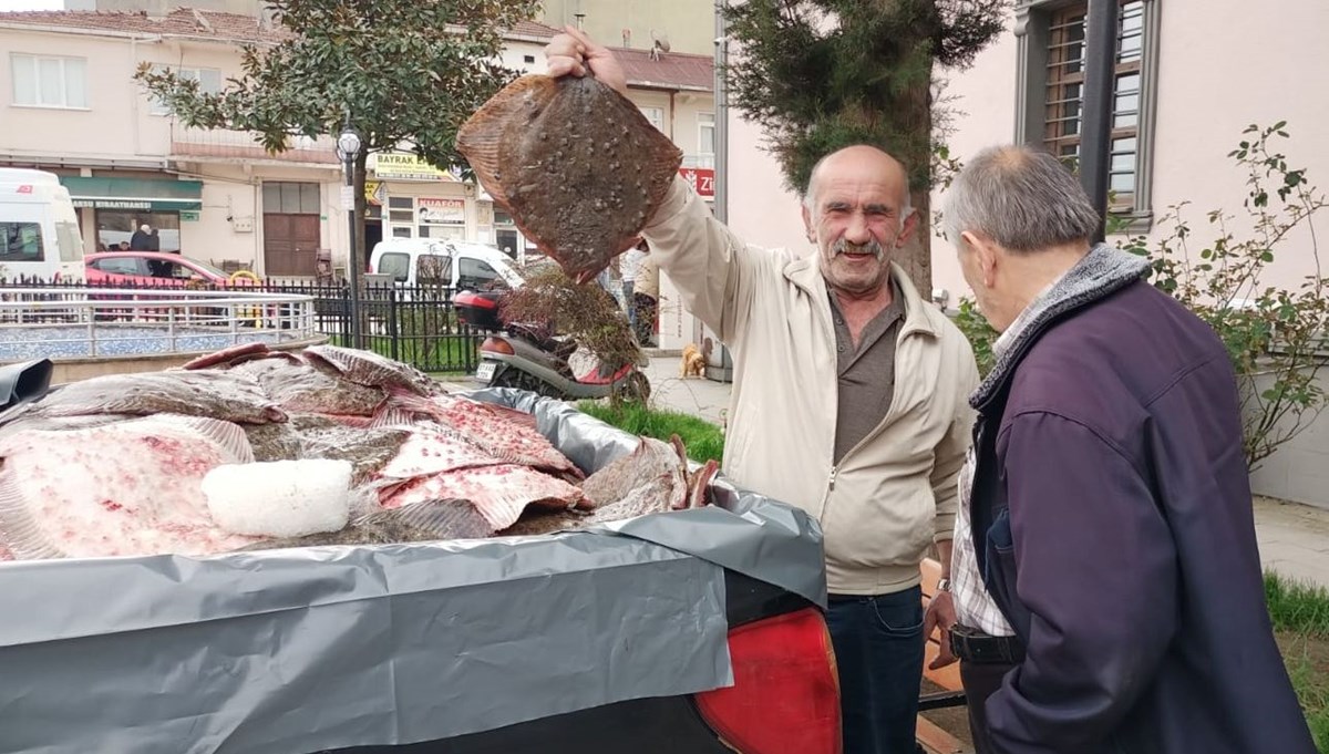 Kaçak avlanan 200 kalkan balığı vatandaşlara dağıtıldı