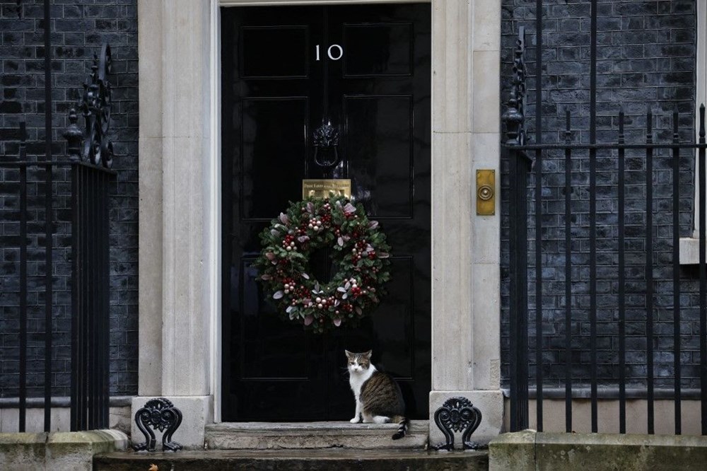 Ларри 10. Downing Street 10 Cat Larry. 1.Downing Street, 10. Larry the Cat Downing Street twitter. 10 Downing Street когда построен.