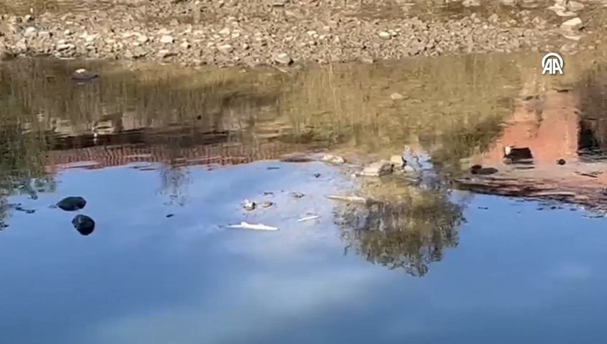 Kocabaş Çayı'ndaki balık ölümlerine inceleme