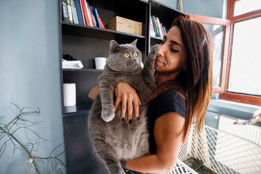 Obez kedi Shanti egzersiz ile 4,5 kilo verdi Magazin Haberleri NTV