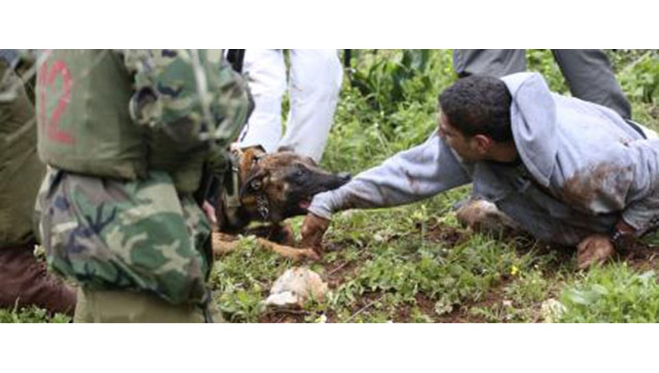 Köpeği saldırtıp kurtarıyormuş gibi yaptı