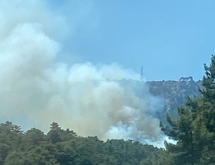 Denizli'de orman yangını: Havadan ve karadan müdahale başladı