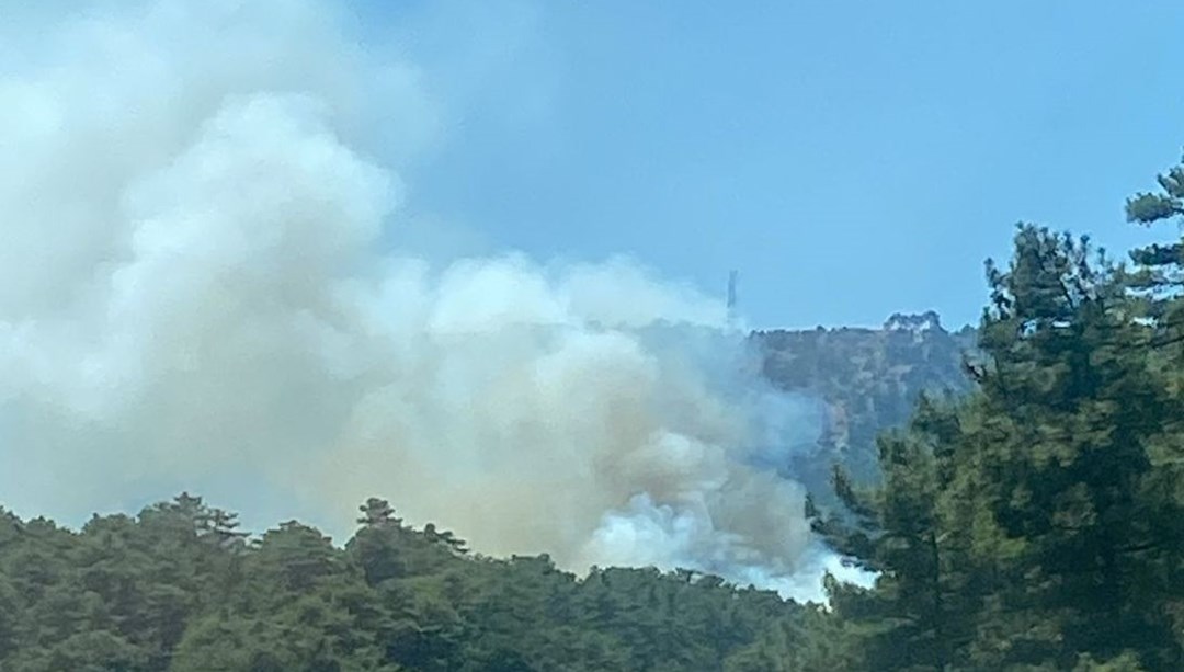 Denizli'de orman yangını: Havadan ve karadan müdahale başladı