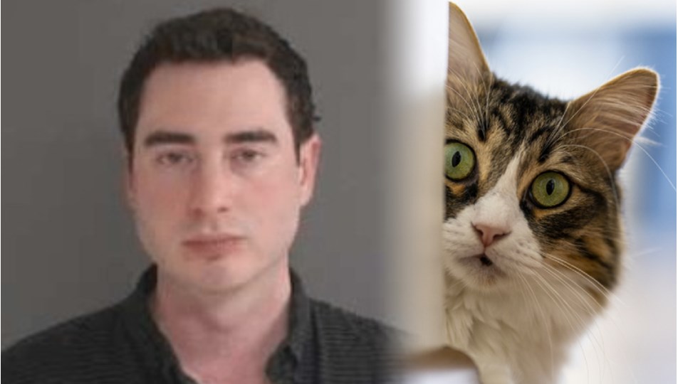 Hız sınırını aşan sürücü "evde kedim bekliyor" dedi, 18 bin lira cezadan kaçamadı