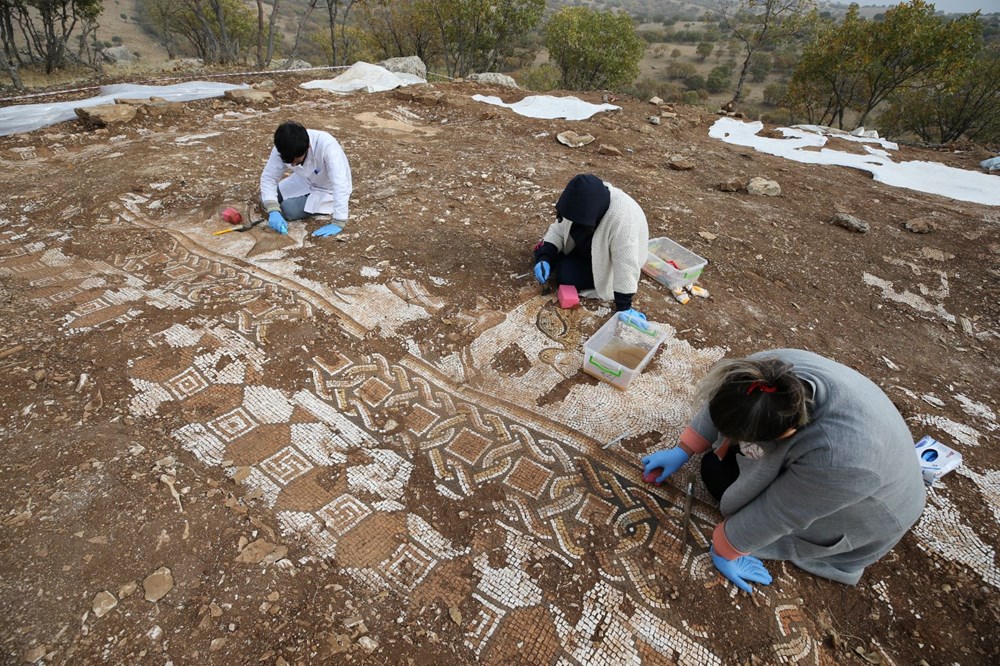 Mardin'de kurtarma kazısında deniz canlıları figürlü mozaikler bulundu - 2