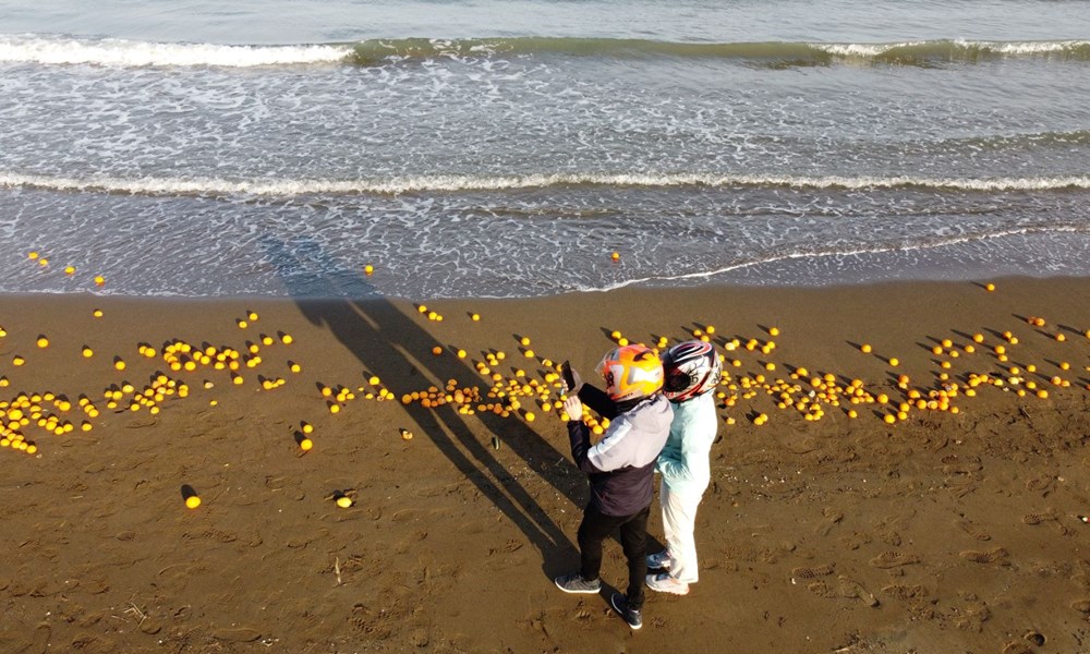 Mersin'de sahile portakal vurdu - 8