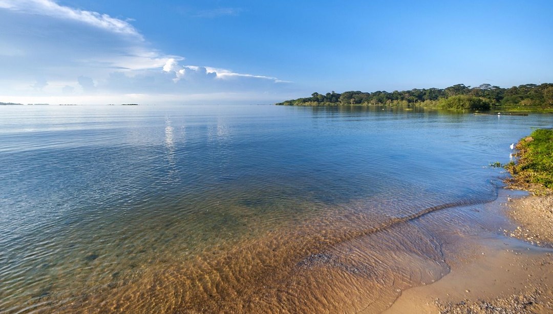 Bilim insanları uyardı: Viktorya Gölü yeşile dönüyor