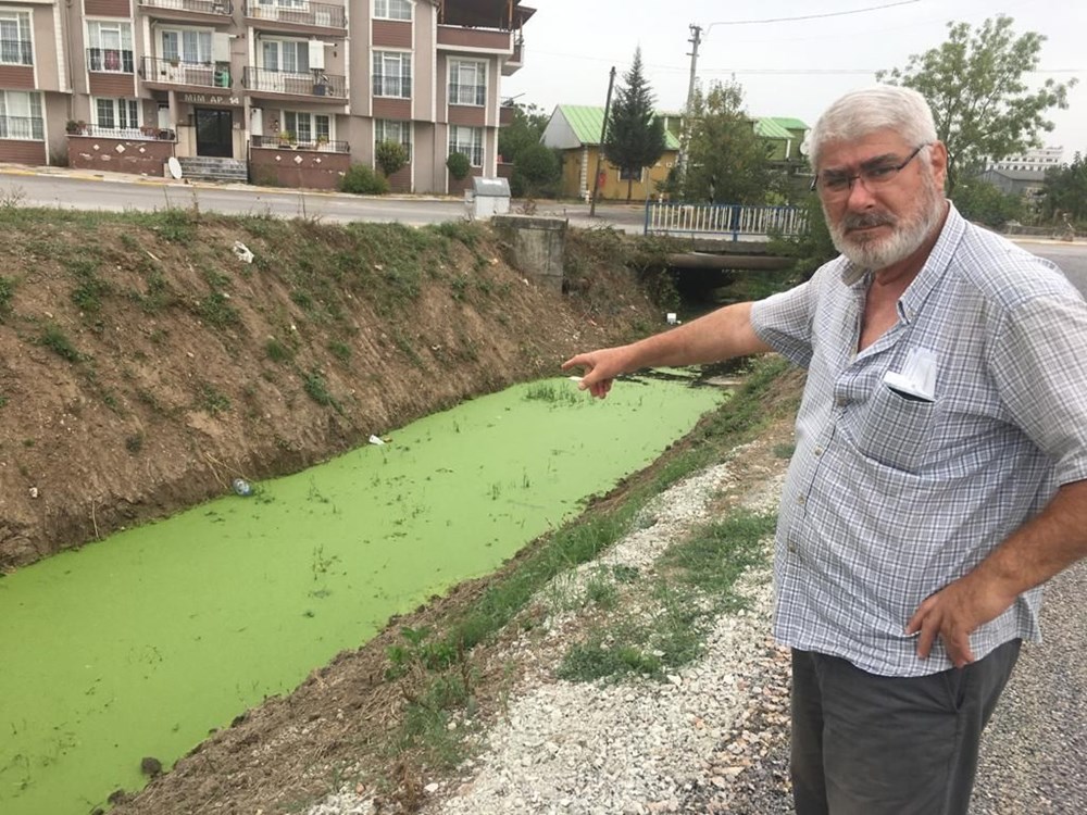 Kocaeli'deki derenin rengi yeşile döndü: 'İlk defa böyle bir şey görüyorum' - 6