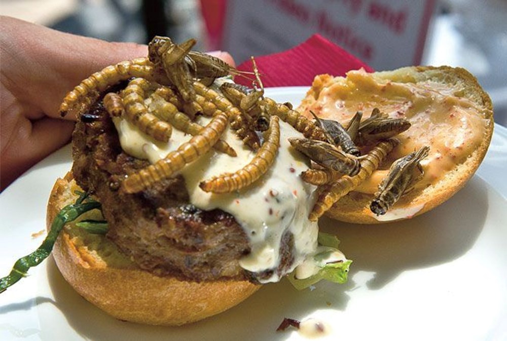 Böcek burgerden, laboratuvarda üretilen kahveye: 2030 yılına kadar menülerde yerini alacak lezzetler - 15