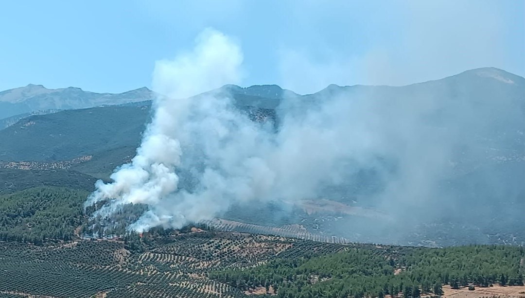 Hatay'da orman yangını: Havadan ve karadan müdahale sürüyor