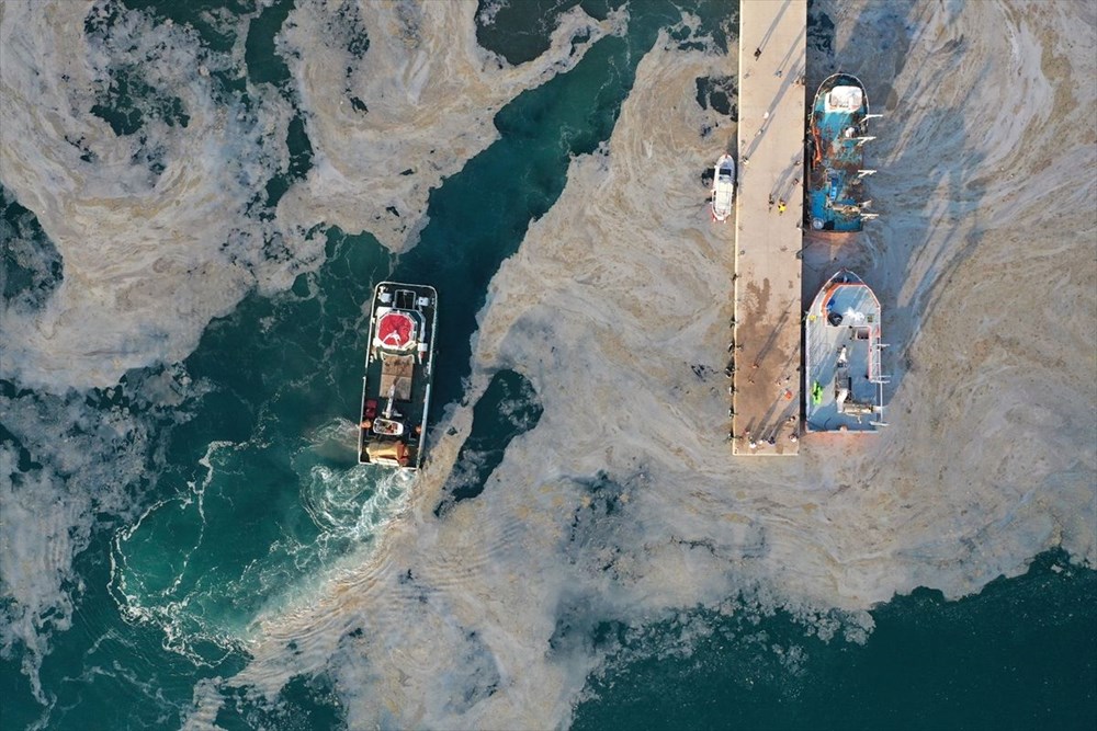 Müsilaj sağlık için tehdit mi? Bilim kurulu üyesinden açıklama - 10