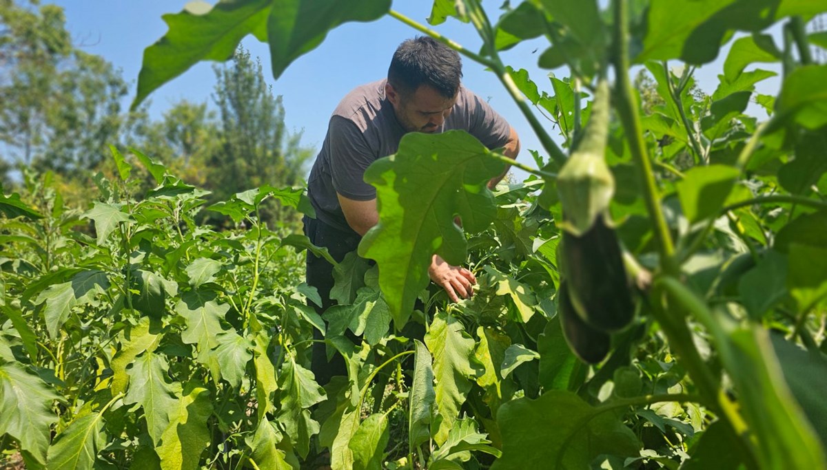 Baba mesleğini bıraktı: 25 yıldır toprağa emek veriyor
