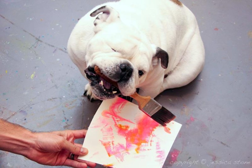 Tek gözlü ressam köpek Magazin Haberleri NTV