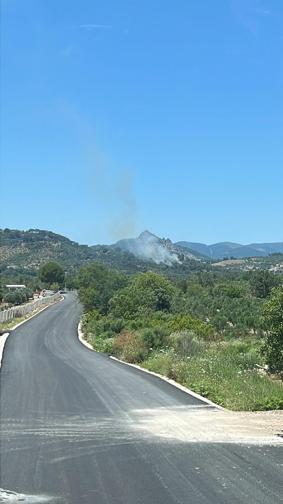 İzmir'de orman yangını - 1
