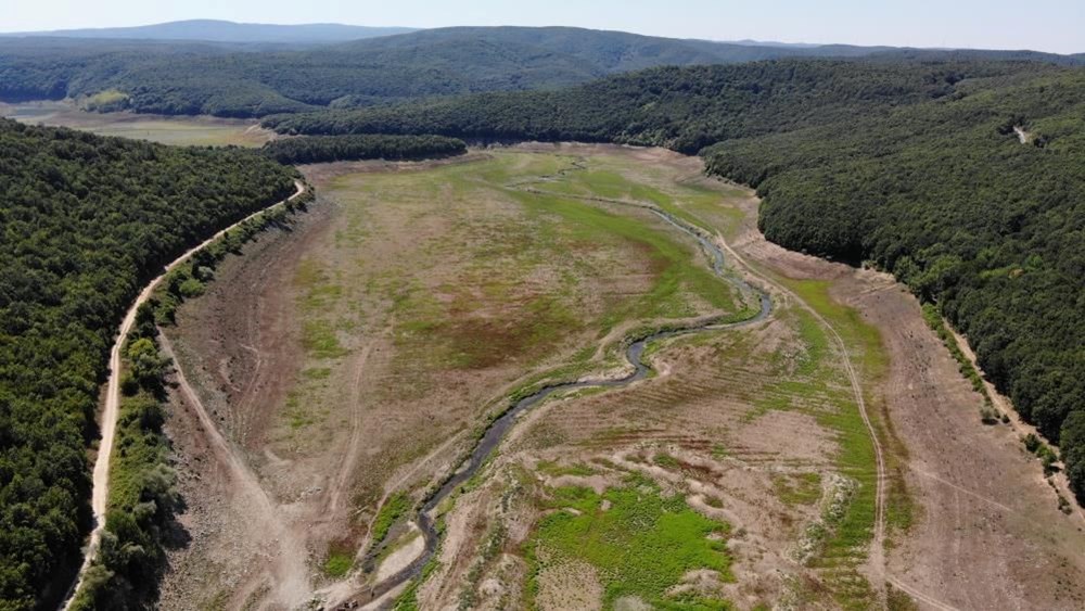 İstanbul barajlarında son durum | Aylar önce hayvanların
otladığı barajlarda, su seviyesi yükselişte - 4