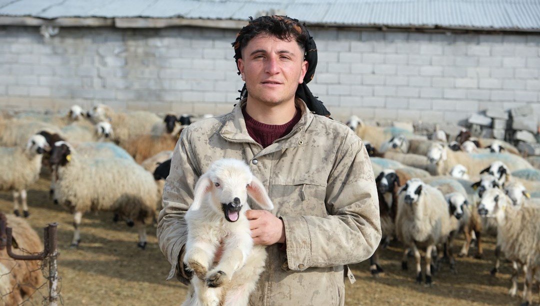 Annesinin reddettiği engelli kuzuya evde bebek gibi bakıyor