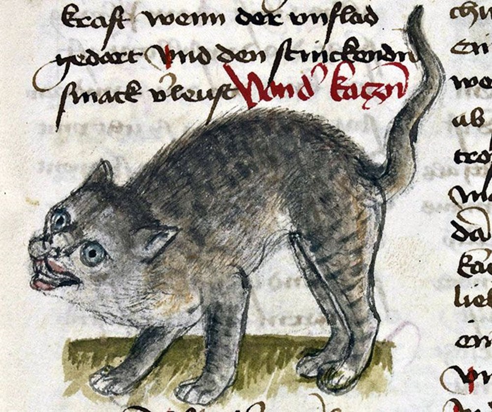Orta Çağ ressamlarının korkutucu kedi resimleri NTV