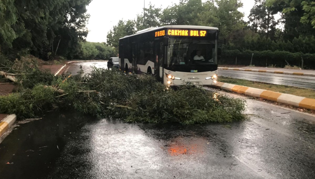 Şanlıurfa’da fırtına: Ağaçlar devrildi, yollar göle döndü