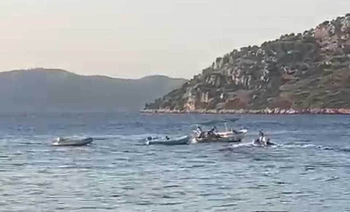 XpM0zIo1-0aAKndWXUiRiQ.jpg