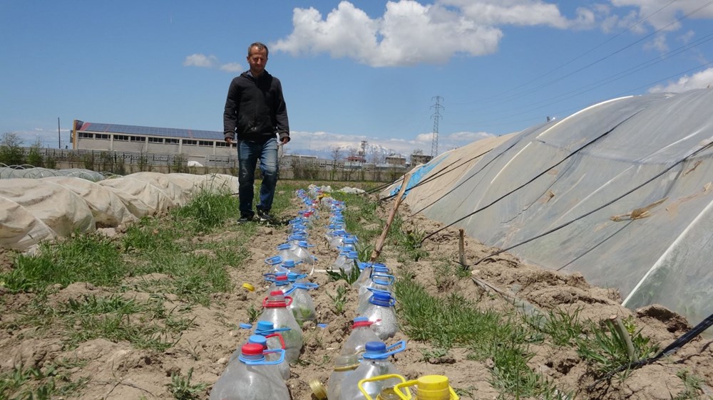 Kuraklıkla mücadelede ilginç çözüm: Pet şişeler mini seraya dönüştürüldü - 1