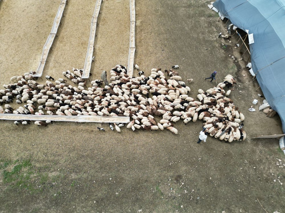 'Cehennem göçerleri' güçlü seyahate hazırlanıyor 79 XrUM9ndnTE6oUWnQrKeY9g