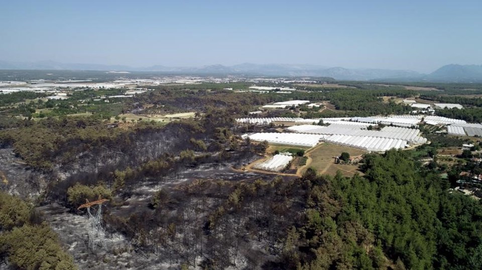 Antalya'daki orman yangınında kül olan 60 hektarlık alan havadan görüntülendi - 2