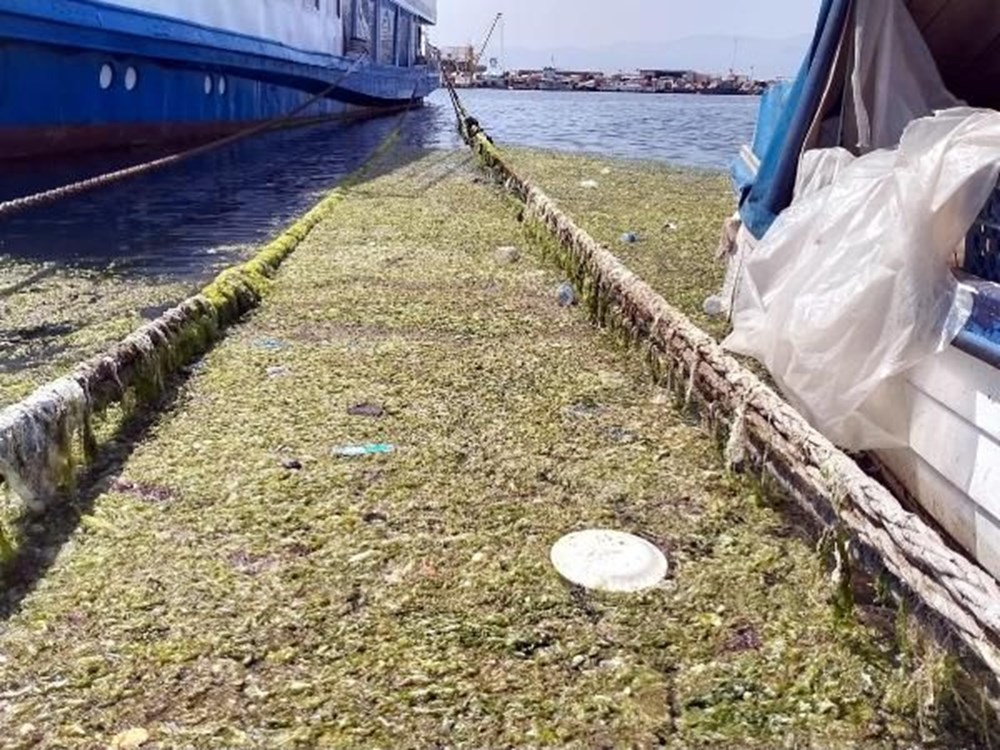 erde und lebens erdeundleben com