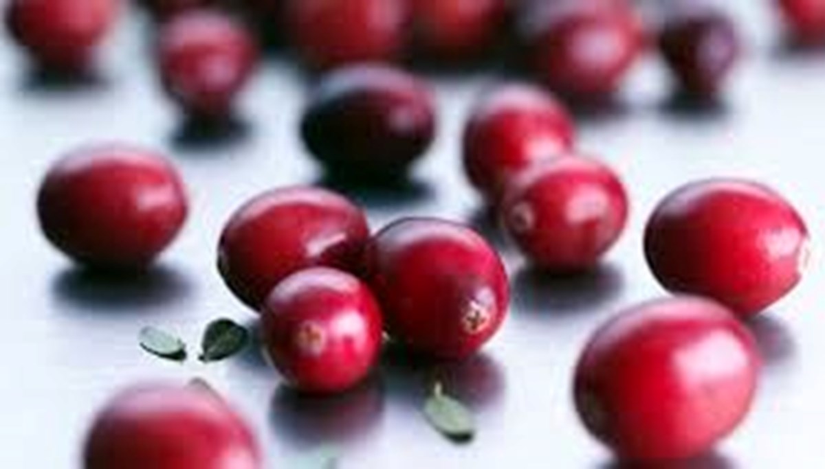 Cranberry 6 faydasıyla öne çıkıyor: İdrar yolu sağlığına etkisiyle biliyor Cranberry 6 faydasıyla öne çıkıyor: İdrar yolu sağlığına etkisiyle biliyor