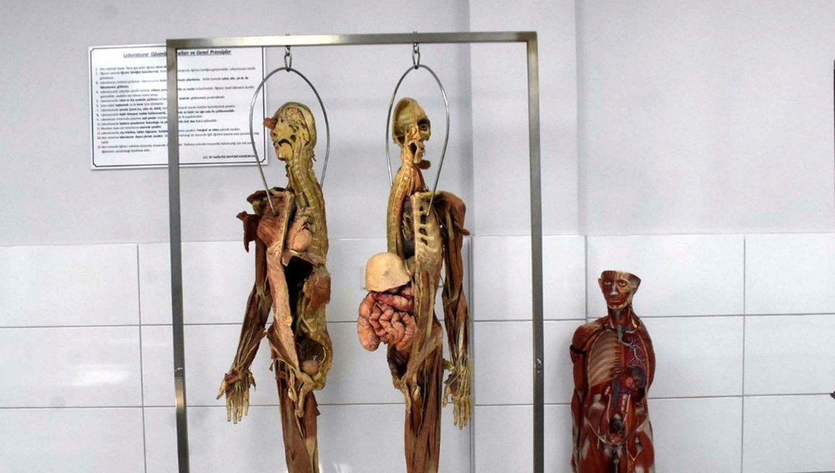 Tıp fakültesinde kadavra krizi: Türkiye’de bulunamıyor, ithal edecekler Tıp fakültesinde kadavra krizi: Türkiye’de bulunamıyor, ithal edecekler