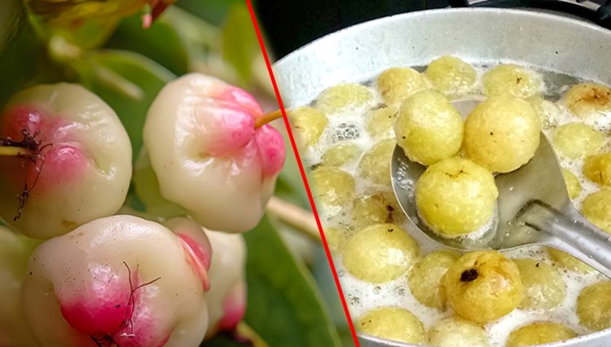 Guava ve Amla: Hangisi daha fazla C vitamini içerir? Guava ve Amla: Hangisi daha fazla C vitamini içerir?