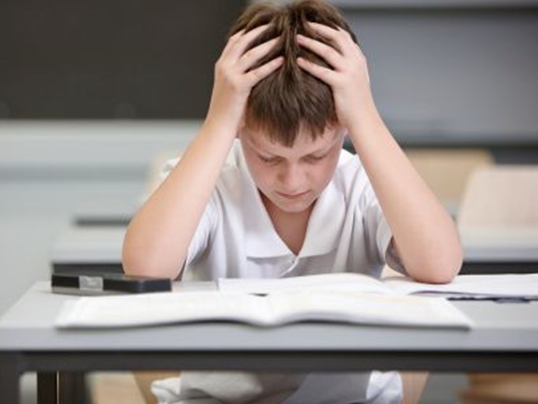 Sorumluluk Alan Cocuk Okulda Daha Basarili Saglik Haberleri Ntv