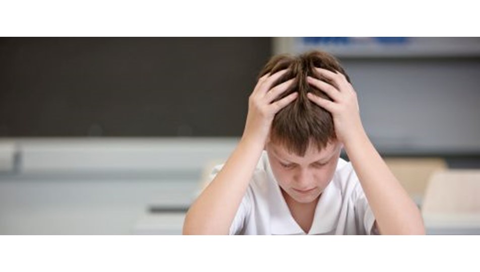 Sorumluluk Alan Cocuk Okulda Daha Basarili Saglik Haberleri Ntv