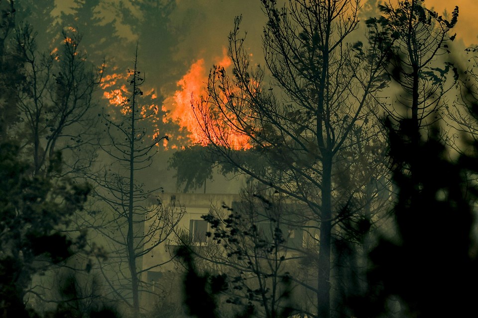 Antalya, Adana, Mersin, Muğla ve Osmaniye'de orman yangınları - 3