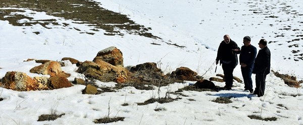 Muş'ta Anadolu'nun jeolojik tarihini değiştirecek 11 milyon yıllık fosiller bulundu