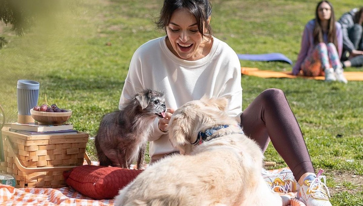 Ezgi Mola'nın bir köpeği daha öldü: Ben ne yapacağım şimdi?