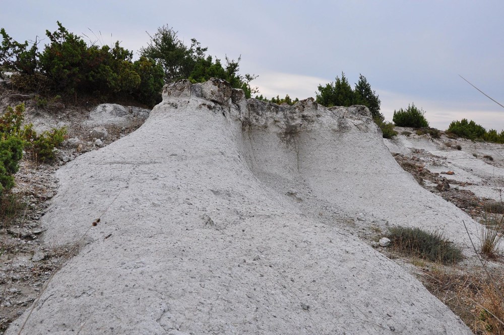 21 milyon yıllık fosil ağaç ormanı tehlikede - 9