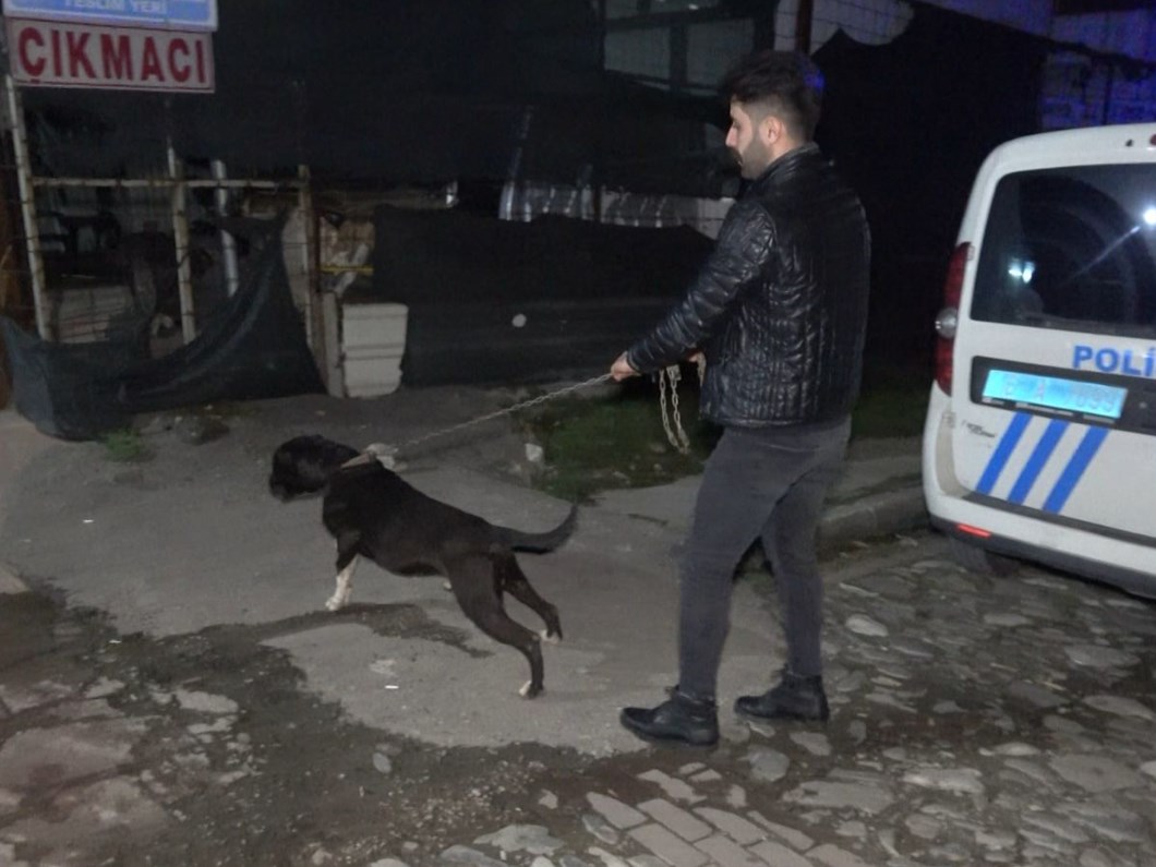 Pitbullun yakaladığı, esnafın dövdüğü taciz şüphelisi tutuklandı
