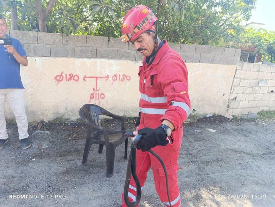 Hatay'da yılan paniği: Evin bahçesine girdi - 1