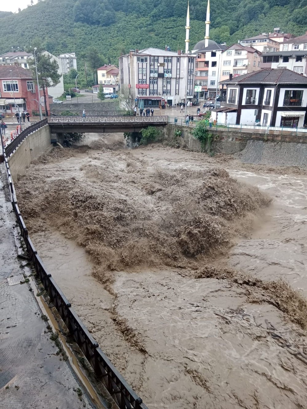 Ordu ve Muş'ta sel felaketi: 2 kişi hayatını kaybetti - 2