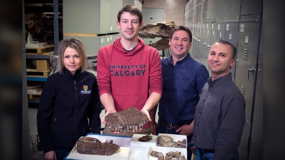 Kanada’da 11 milyon yıllık ‘ölüm meleği’ fosili bulundu - 1