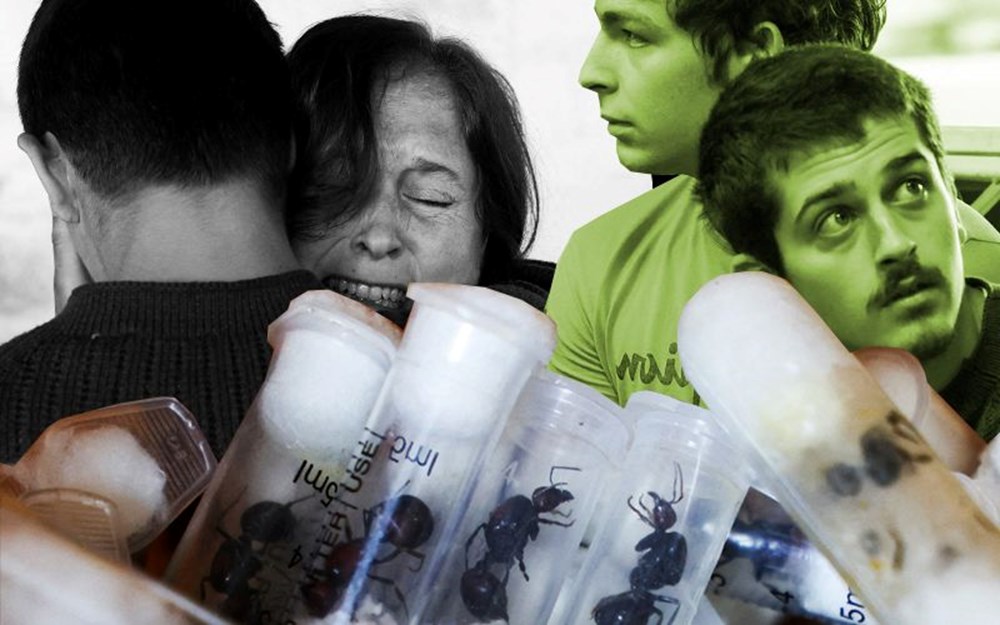 5 bin kraliçe karıncayla yakalanan 4 gence "biyolojik korsanlık" cezası - 1