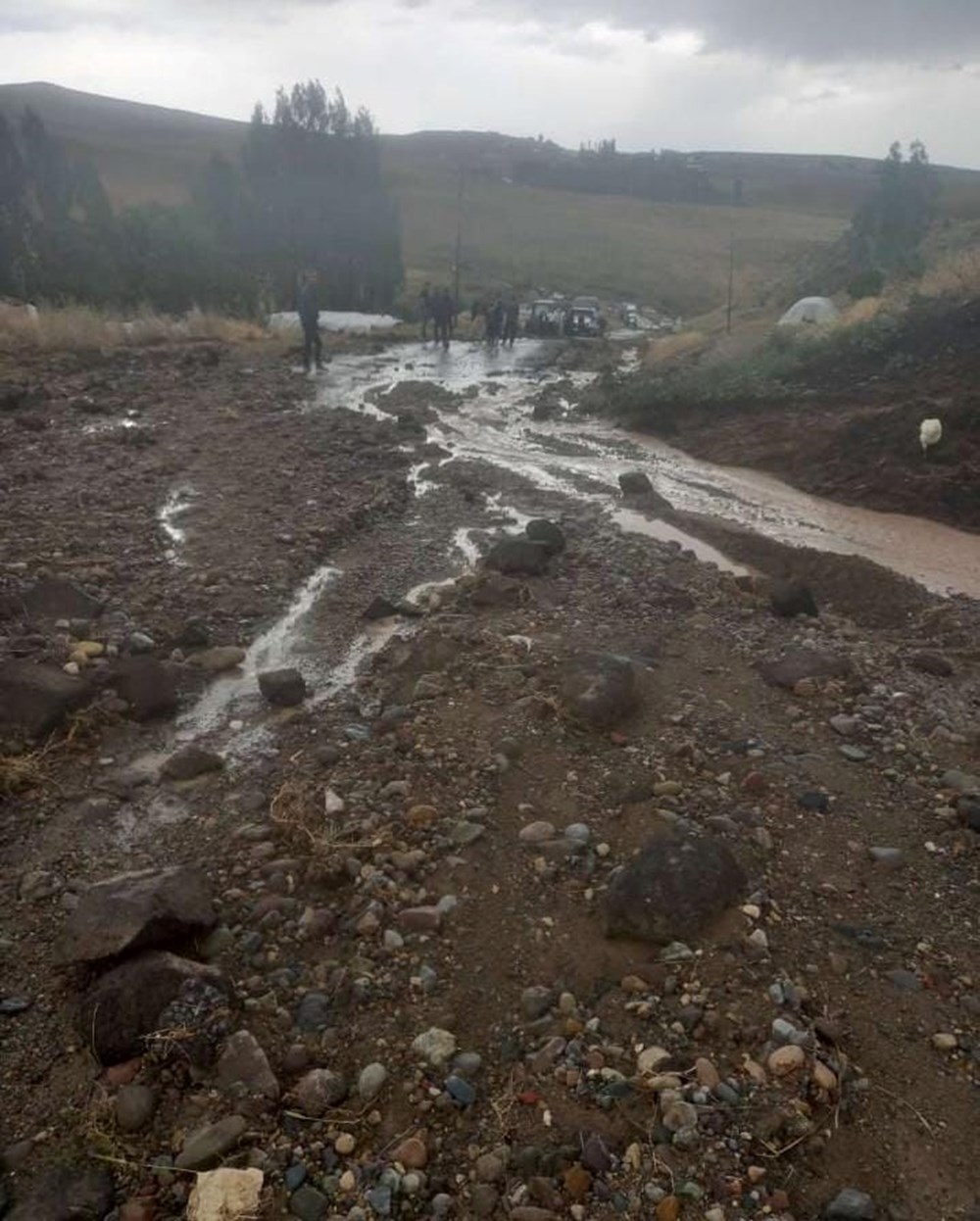 Ordu ve Muş'ta sel felaketi: 2 kişi hayatını kaybetti - 9