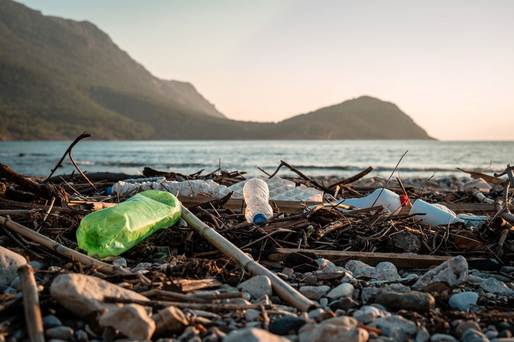 Küresel plastik kullanımı ve atık 2060'a kadar üçe katlanacak - 4
