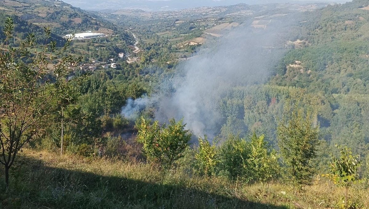 Bahçesindeki çalıları ateşe verince dumandan zehirlenerek hayatını kaybetti