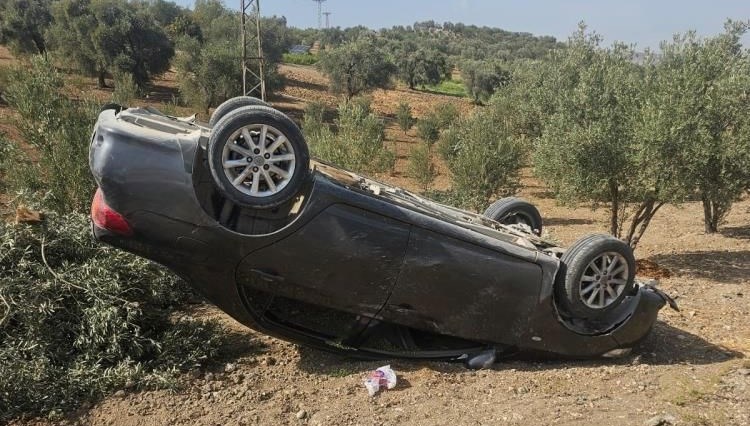 Zeytin bahçesine uçan arabada üç yaralı