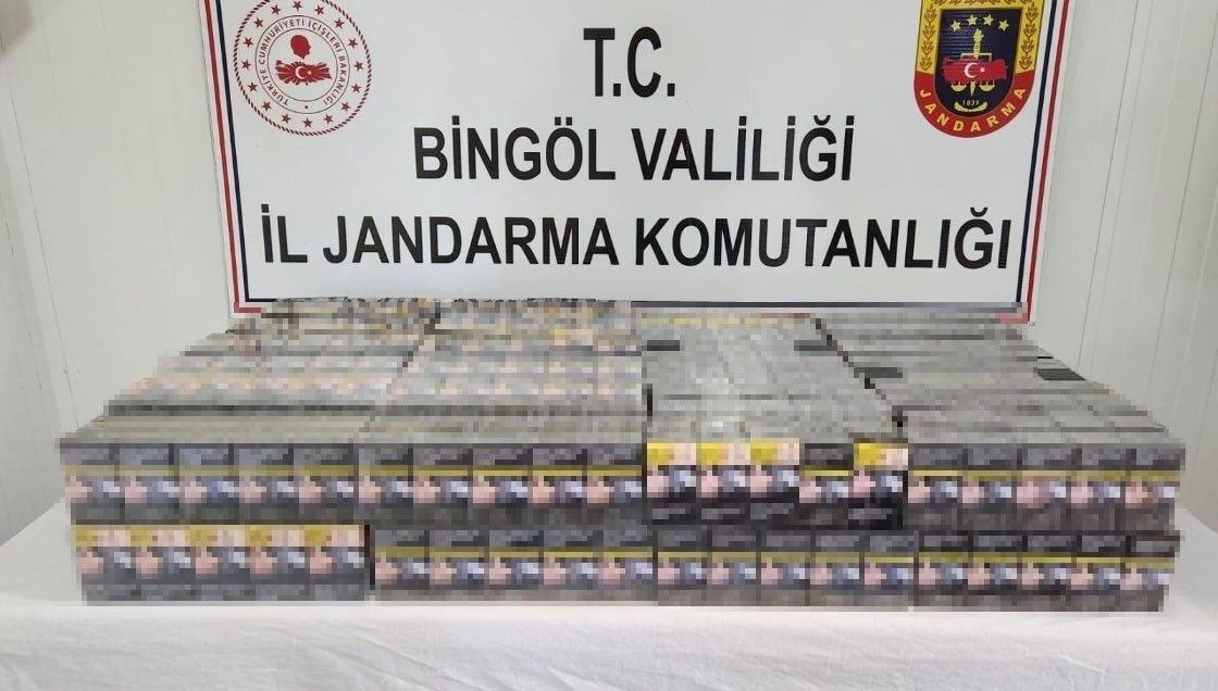 Bingöl'de kaçak kazı yapan 2 kişi yakalandı