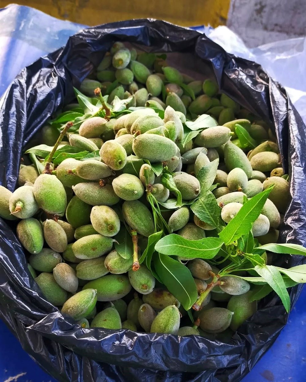 YB zMRv350e69i jVwmssw