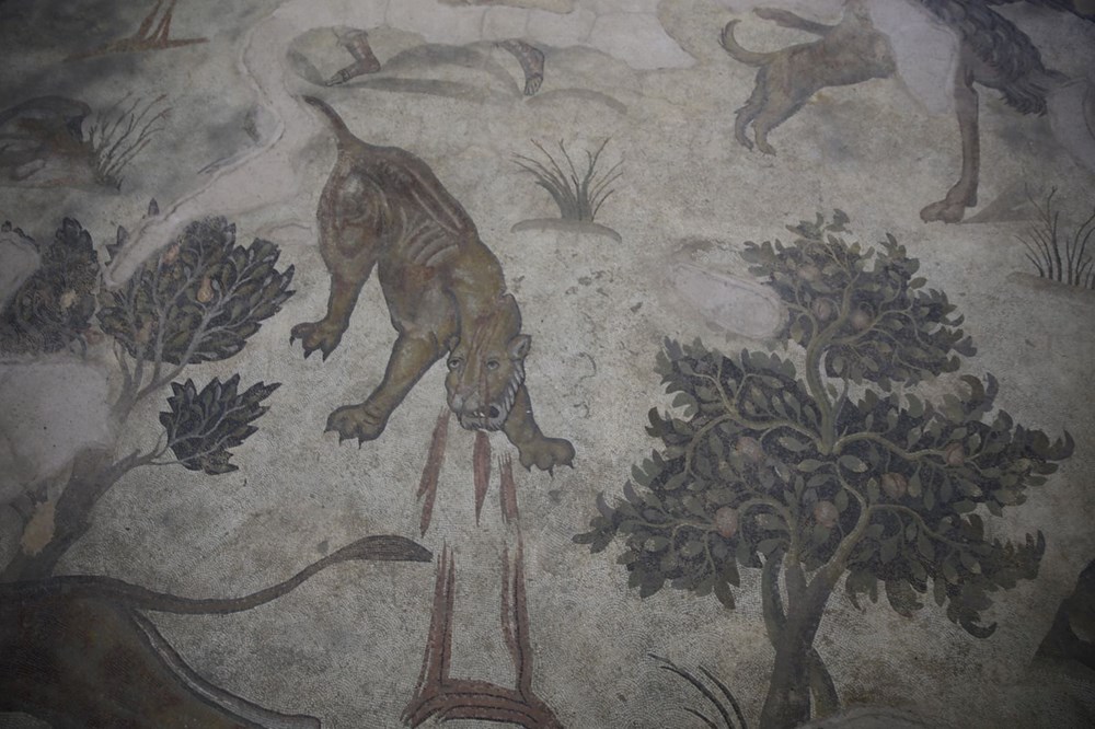 Aşil'in hayatı ve savaşçı Amazon kadınlarının mozaikleri Şanlıurfa'da - 7