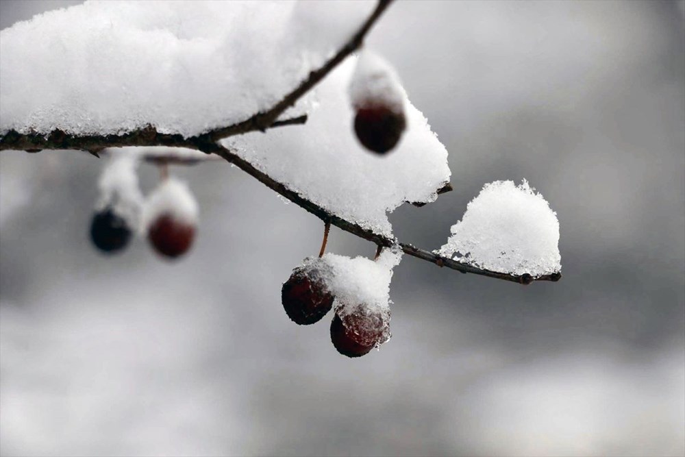 Bolu'da 'tabiatın kalbi' Gölcük ve Mudurnu'dan kartpostallık fotoğraflar - 13