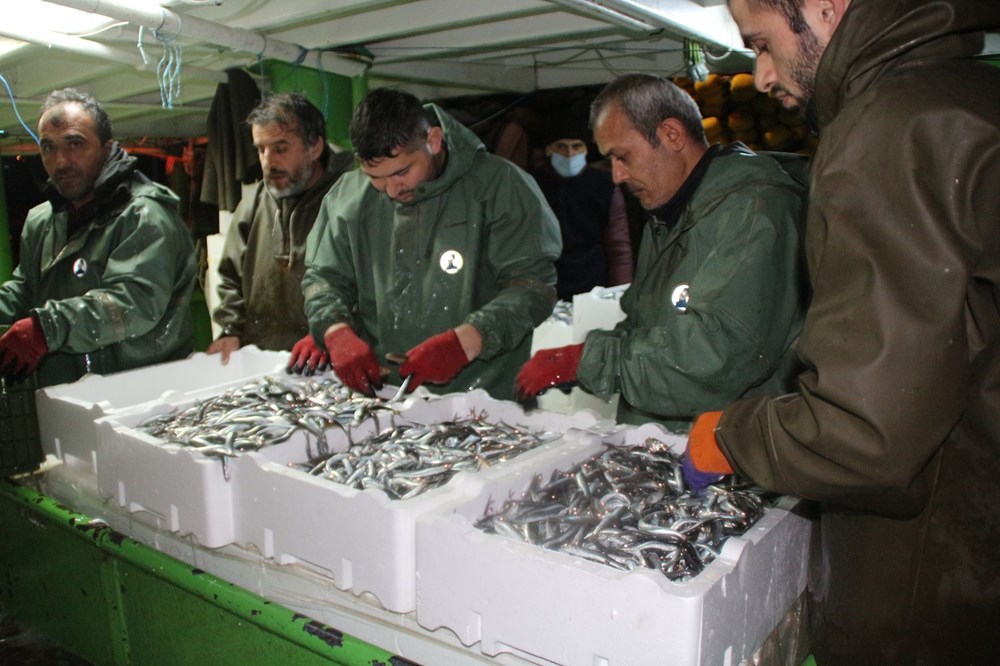 Hamsinin fiyatı, denizden tezgaha gelene kadar 3'e katlanıyor - 5